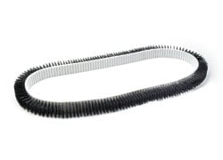 borstelriem getand